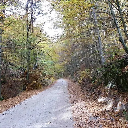 Triglav Park House * Bled