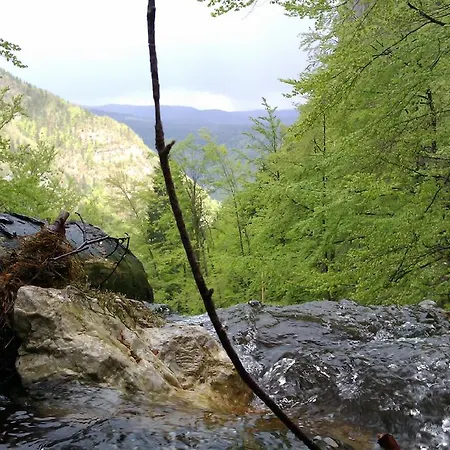 Landhaus Triglav Park House Bled