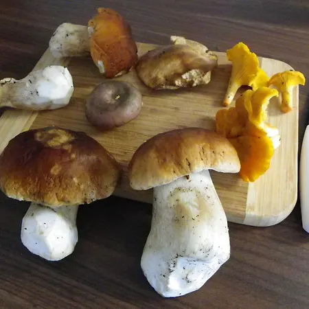 Landhaus Triglav Park House