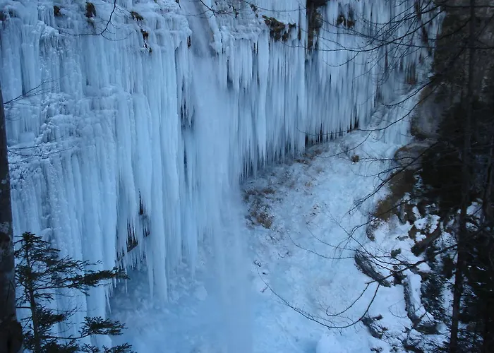 Triglav Park House * בלד