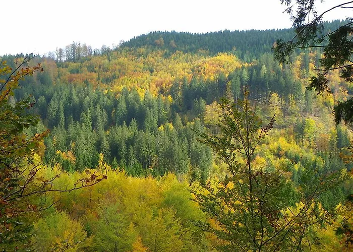 Triglav Park House בלד