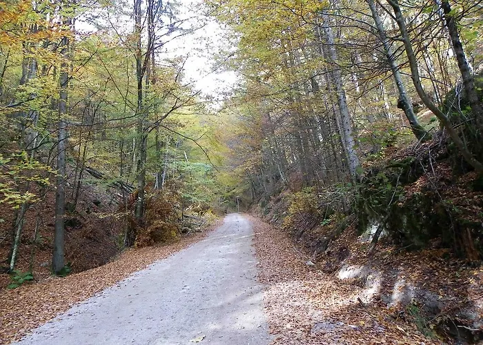 Triglav Park House * Bled